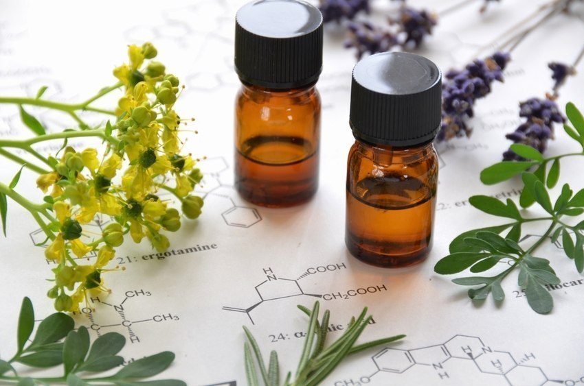 Aromatherapy for Students: Essential Oils for Studying, Exams, and Better  Sleep